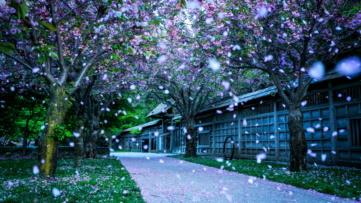 米西索加谷公园风光，Kariya Park绝美4K高清壁纸，3840x2160分辨率免费下载