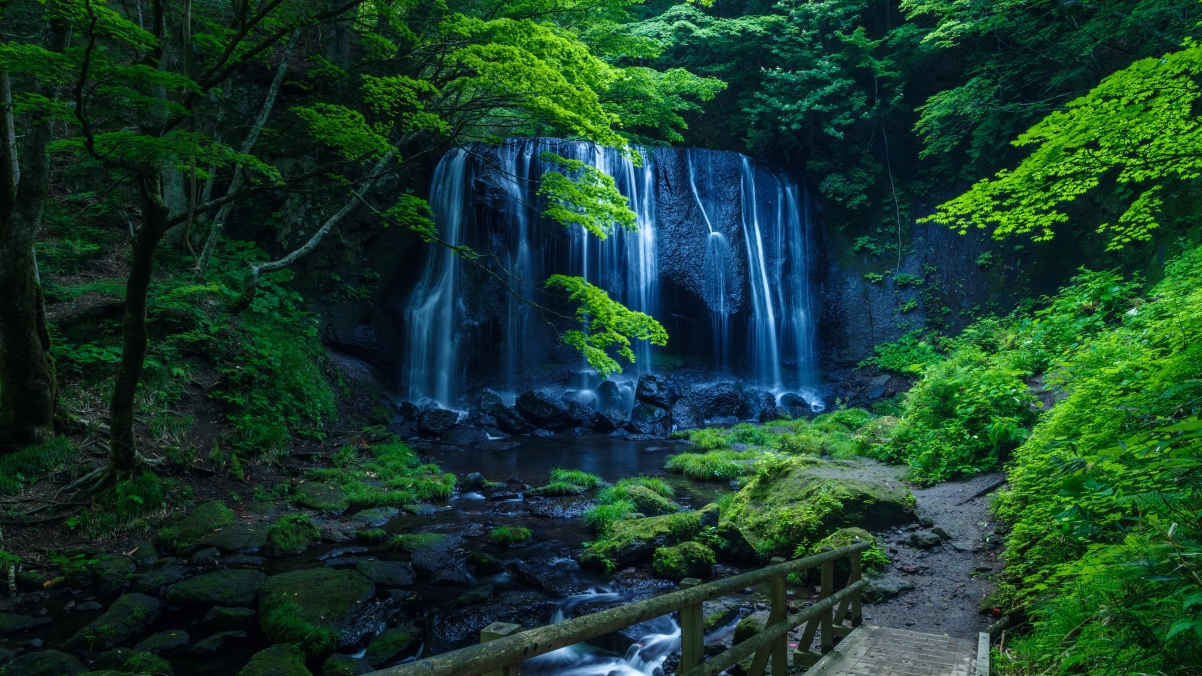 绿色森林岩石瀑布美景，4K高清壁纸下载，畅享大自然风光