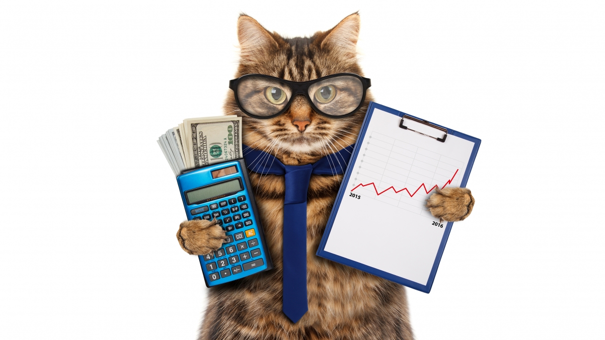 猫会计主题，领带眼镜造型，美元计算器，超清4K壁纸下载