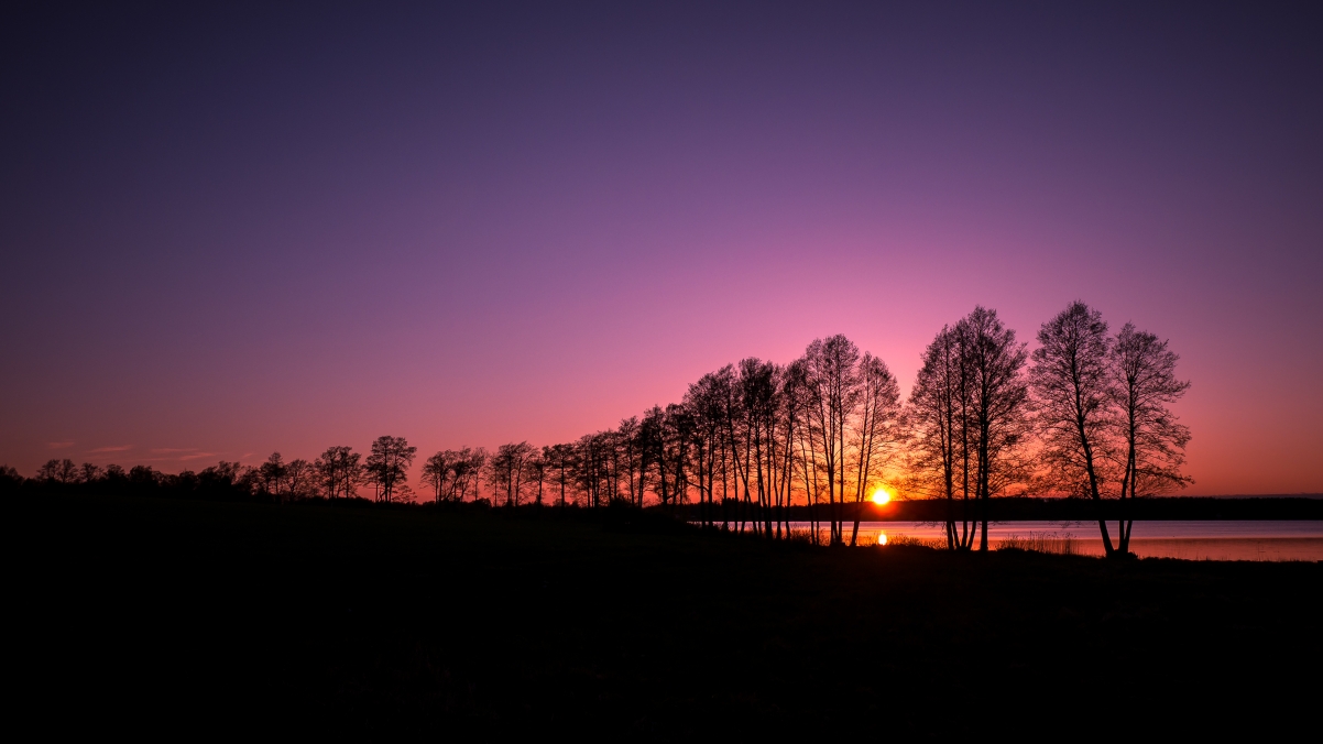 树影婆娑映夕阳，芬兰4K高清风景壁纸，3840x2160超清下载