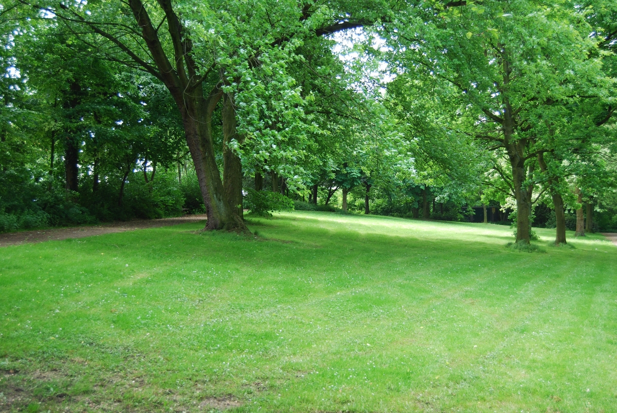 公园绿意盎然，高清4K草坪树林风景壁纸，3872x2592分辨率免费下载