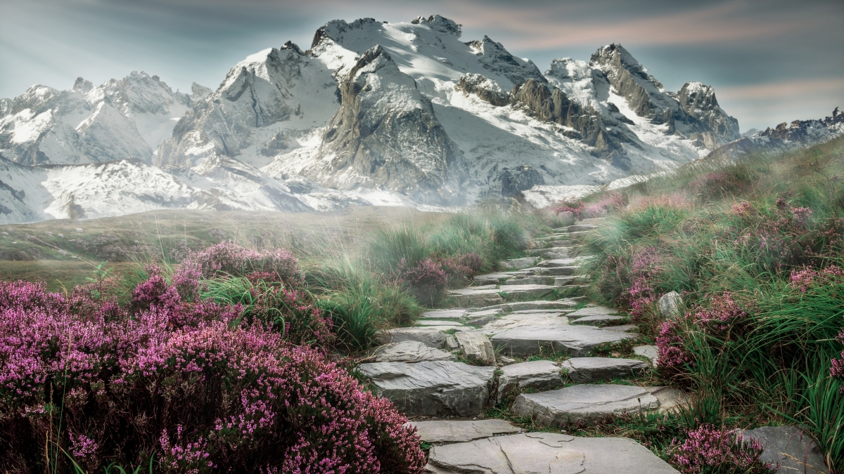 绝美山峰4K高清壁纸，高山花海盛景，4000x2250超清下载