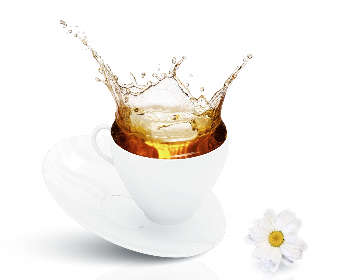 杯茶花卉美景，8K超清壁纸，4K精致背景，高清大图8000x6286任你下载