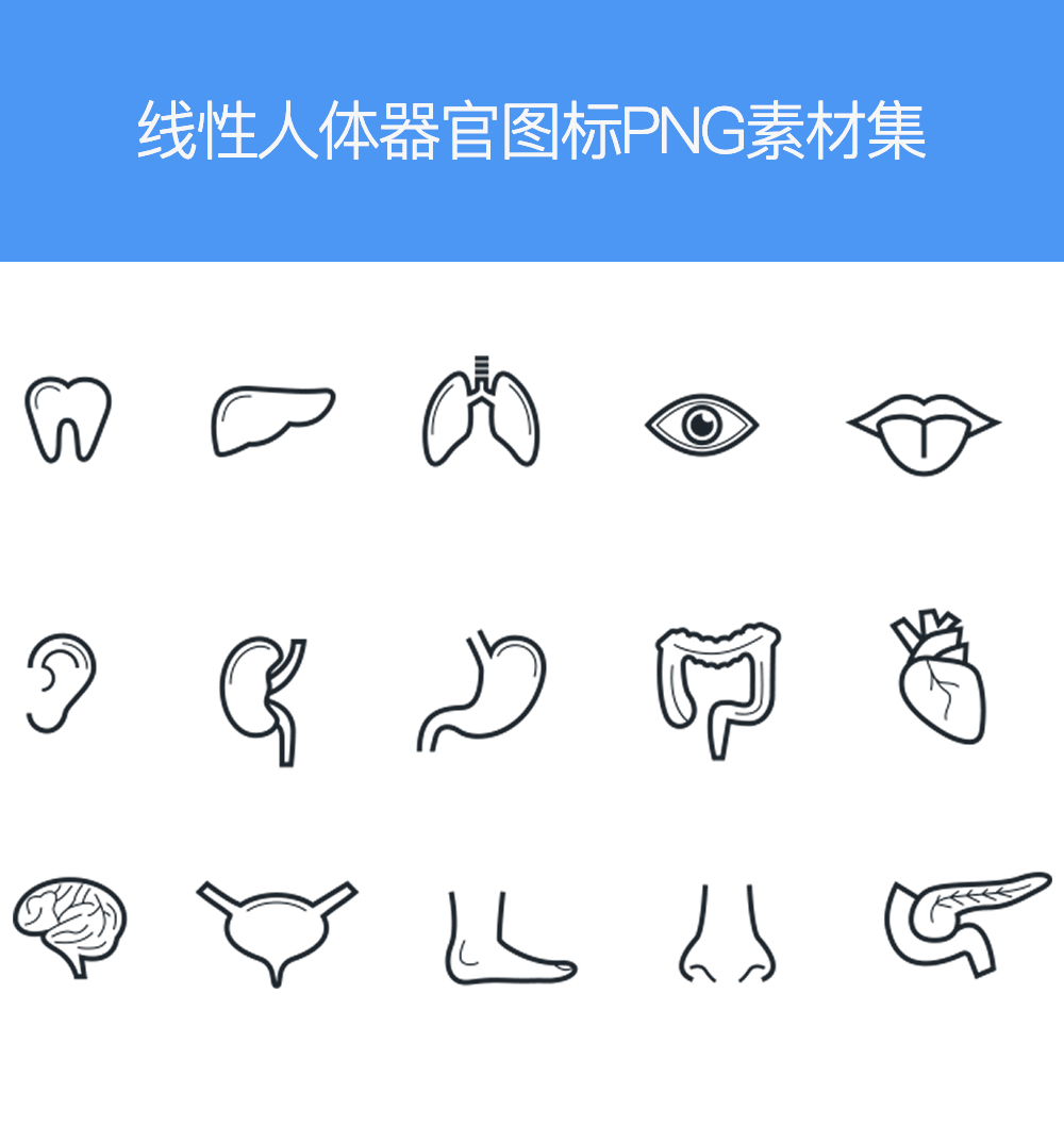 线性人体器官图标集素材