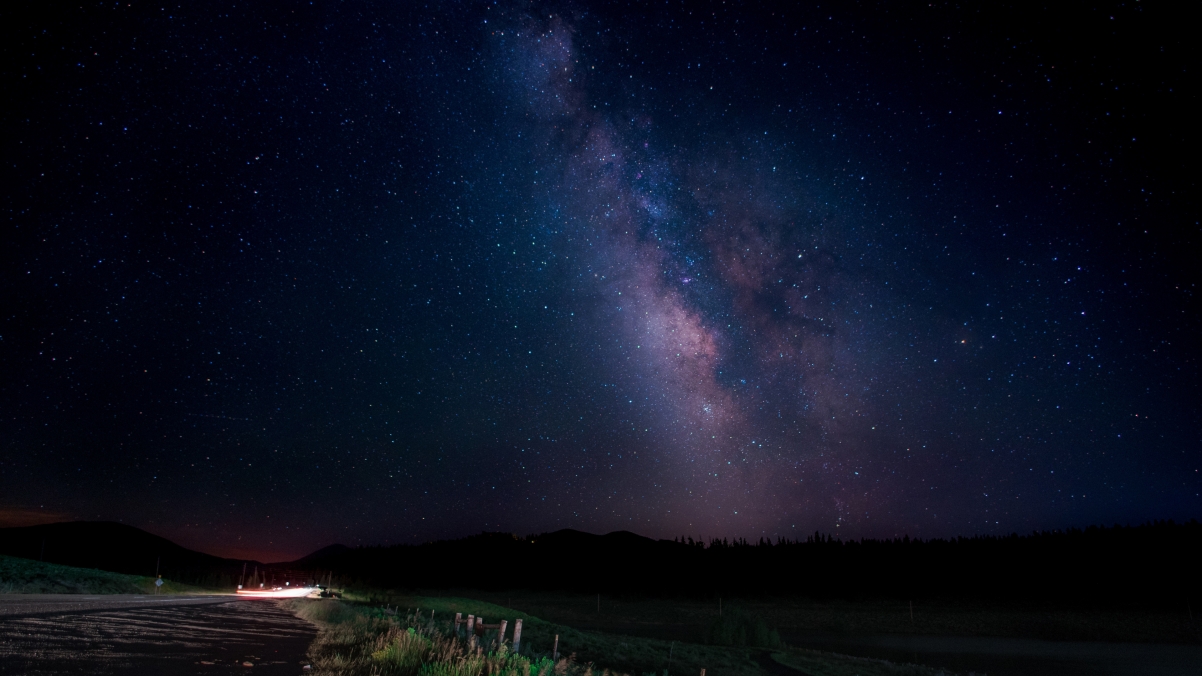 夜晚星空璀璨，星光照亮树影路径，4K高清壁纸，尽享唯美风景