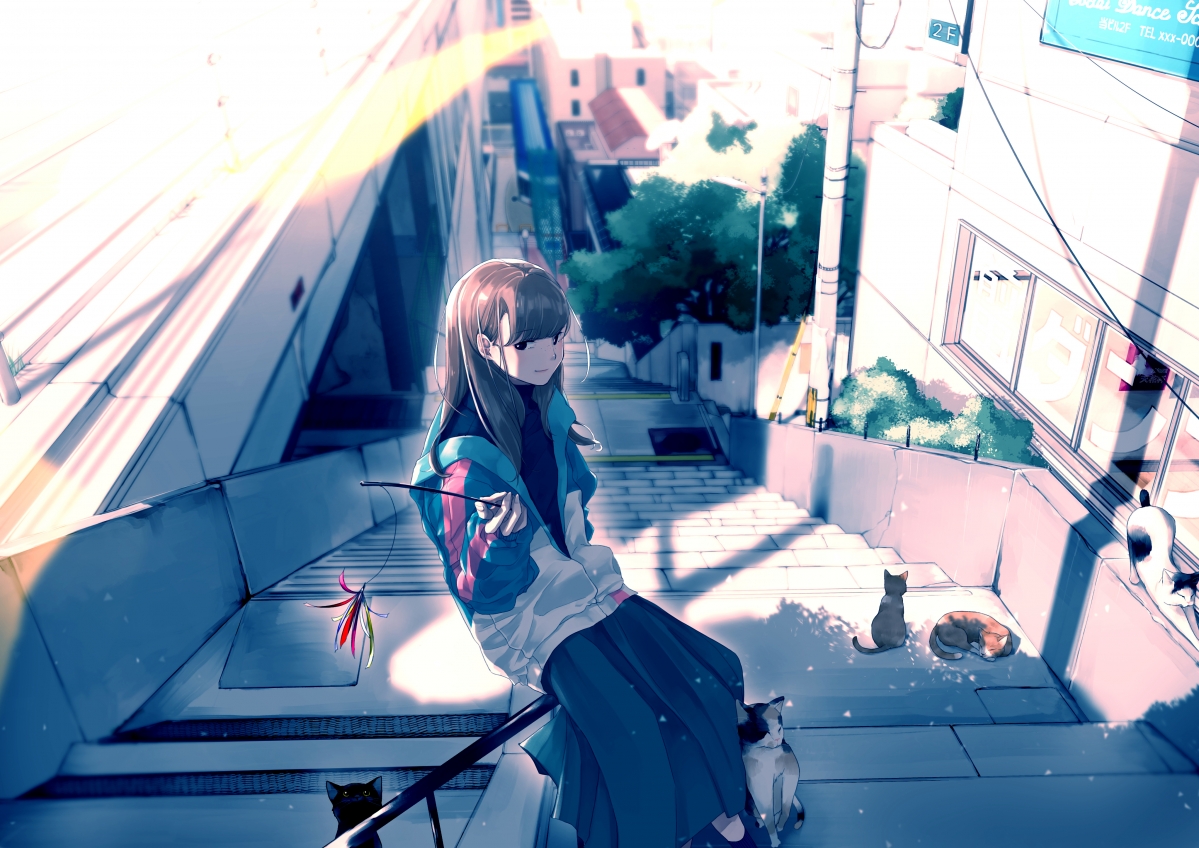 女生爱猫，阶梯风情，绝美4K动漫风景壁纸，高清大图4093x2894，一键下载！
