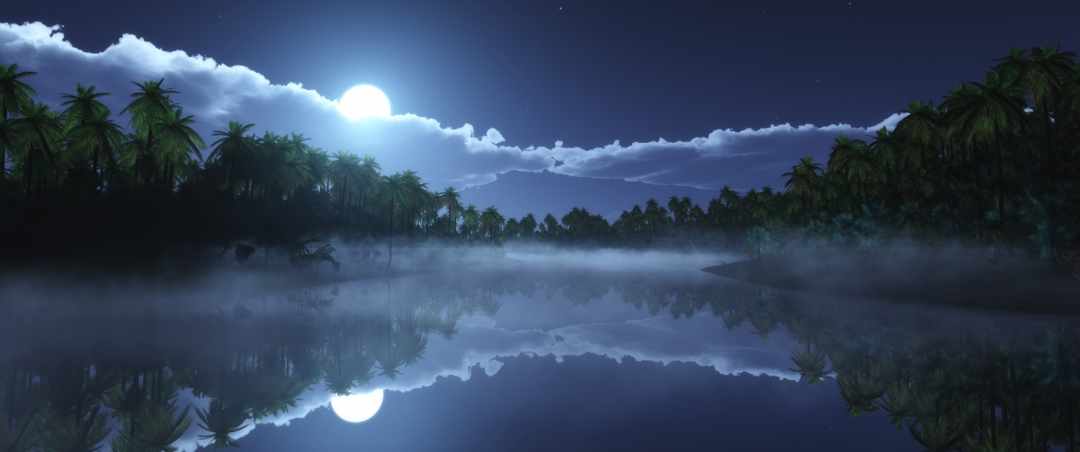 热带寒夜高清4K风景壁纸，3440x1440分辨率，免费下载