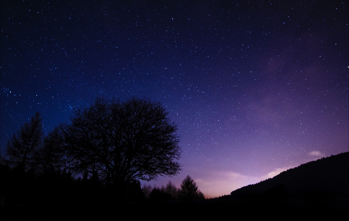 夜晚美景，璀璨星空下的树影，4K高清壁纸下载，极致4896x3112分辨率