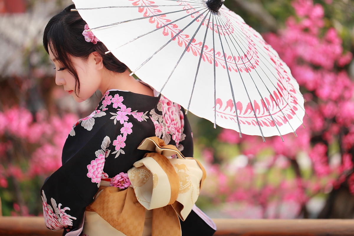 日本和服佳人樱雨漫步，唯美伞下4K高清壁纸，惊艳4000x2667下载