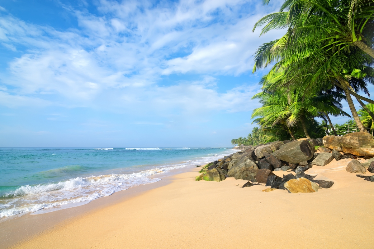 夏日棕榈海滩，4K高清大海风景壁纸，绝美画面4200x2803免费下载