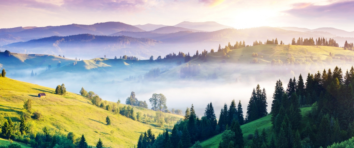 乌克兰喀尔巴阡山全景，丘陵森林风光，超清4K壁纸（3440x1440）免费下载