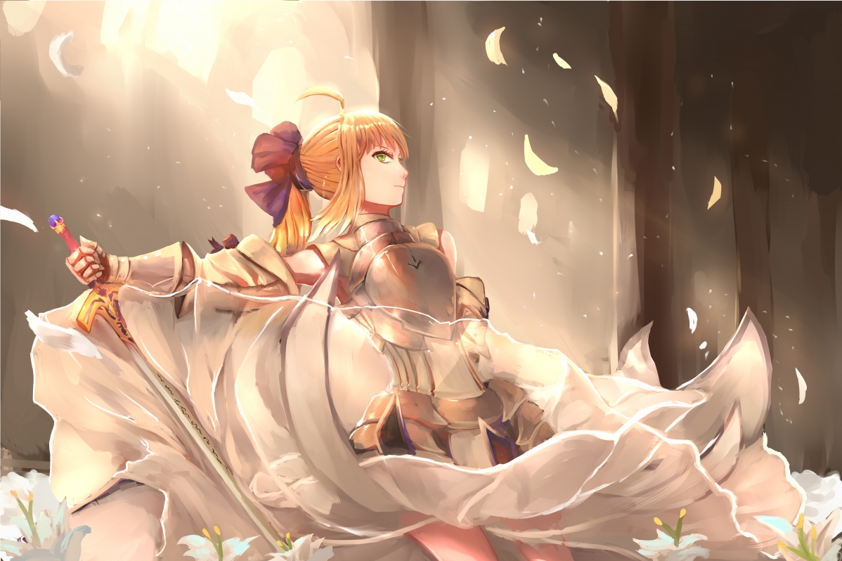 Saber Lily精选5K超清动漫壁纸，4K高清图片，5600x3730分辨率，一键下载