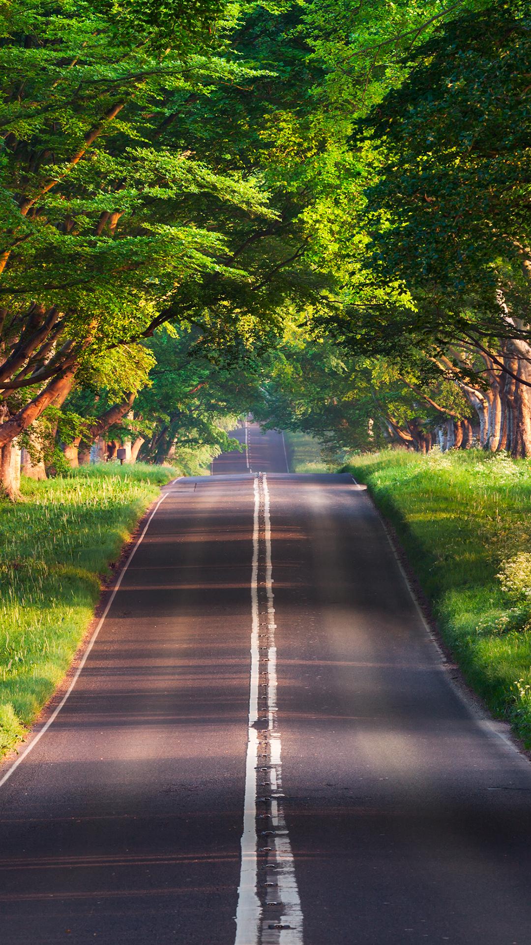 布兰福德路绝美风光，1080x1920超高清4K手机壁纸，一键下载