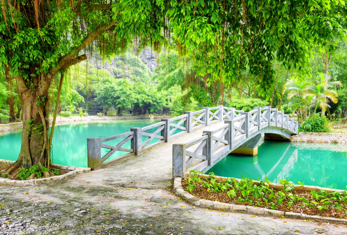 越南公园美景，池塘映树影，桥梁连绿意，高清4K壁纸畅享自然