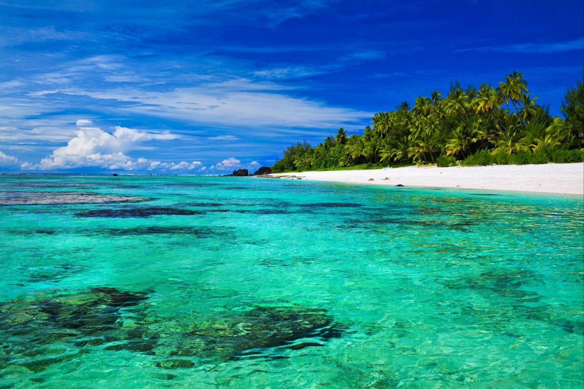 热带棕榈海景，4K超清海洋壁纸，3840x2560高清下载