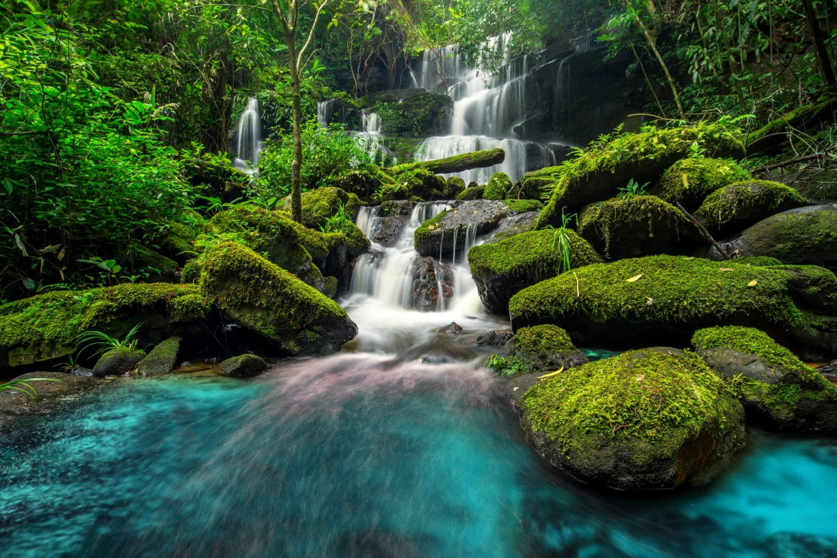 自然森林小溪瀑布绝美4K风景壁纸，高清4200x2804，一键下载！