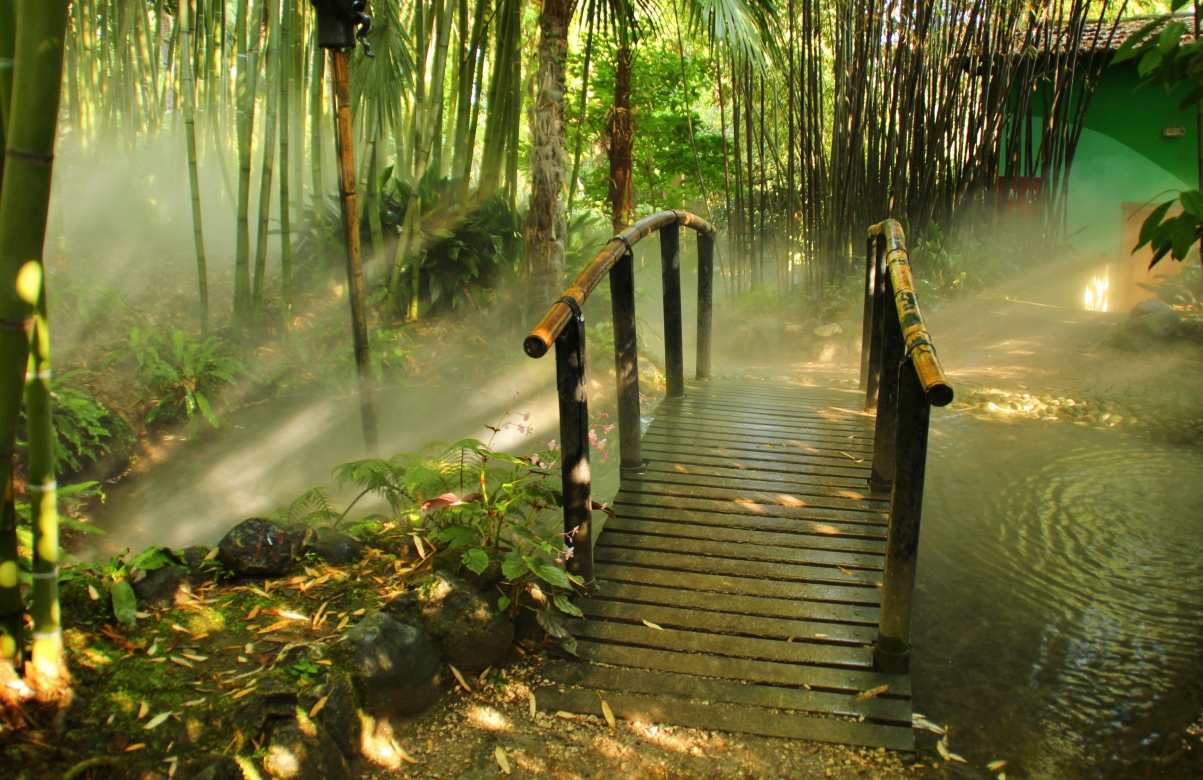 竹桥绝美4K风景壁纸，高清大图3806x2468，一键下载