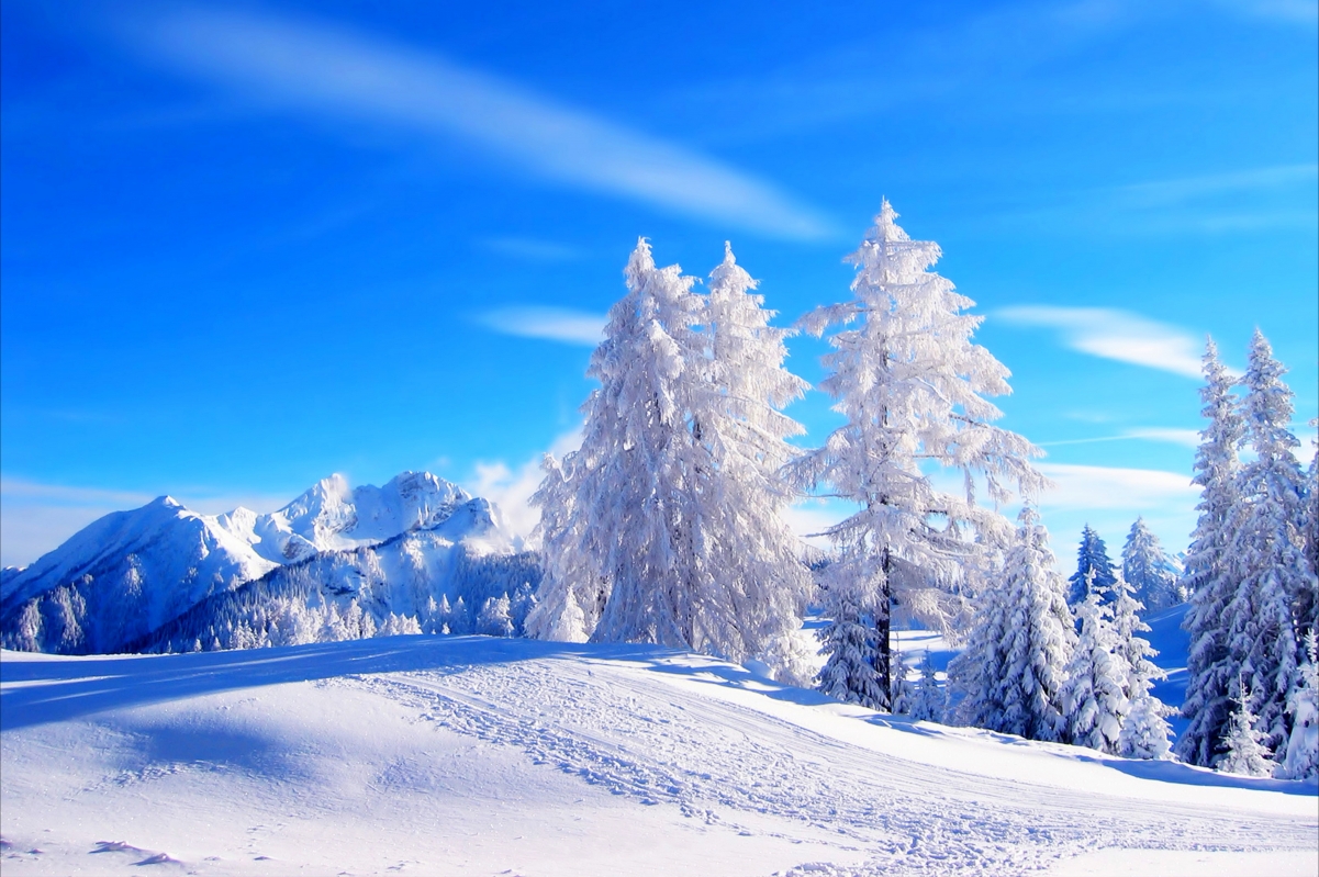 冬日雪景，山林雪域4K高清风景壁纸，5111x3402分辨率，唯美下载