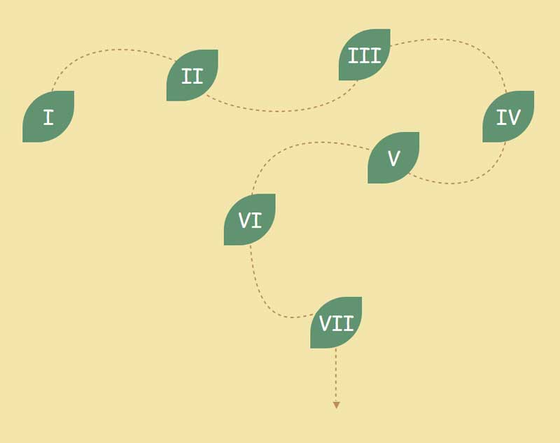 css3 svg叶子虚线布局特效