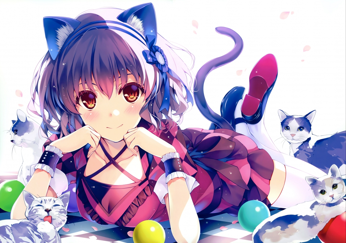 动物耳朵棕眼萌猫姑娘，绝美4K动漫壁纸，高清4000x2821下载