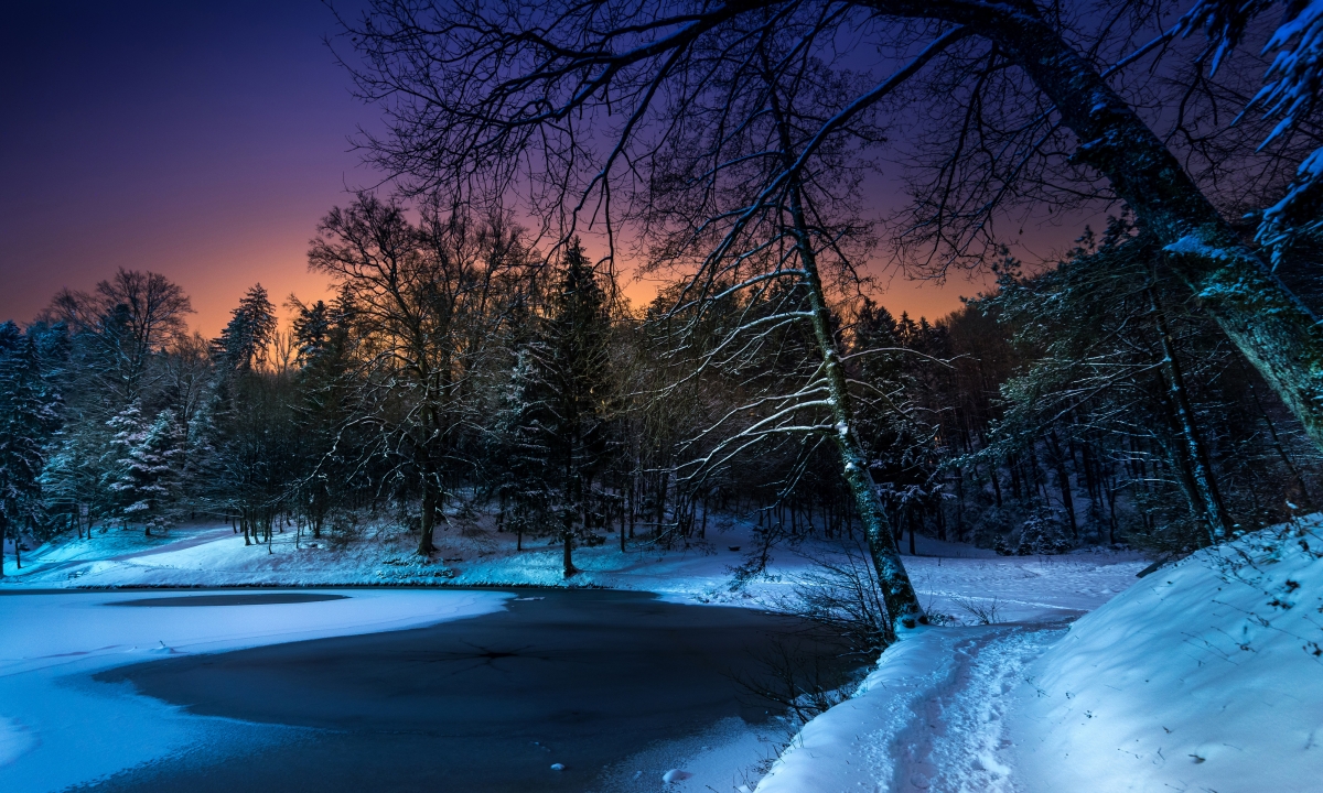 冬日雪夜，静谧树林高清4K风景壁纸，4000x2400超清下载