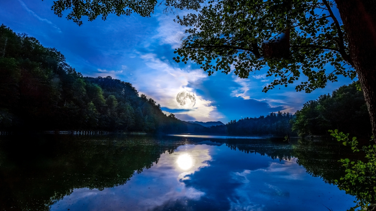 美因茨之夜，树影婆娑，月挂云间，4K高清壁纸展现梦幻河森美景
