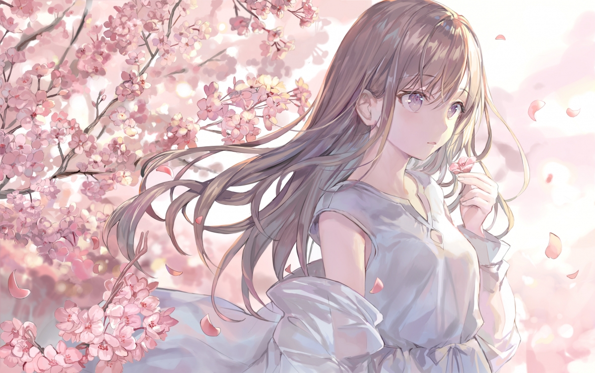 樱花茶发少女，绝美4K高清动漫壁纸，3507x2200超清下载