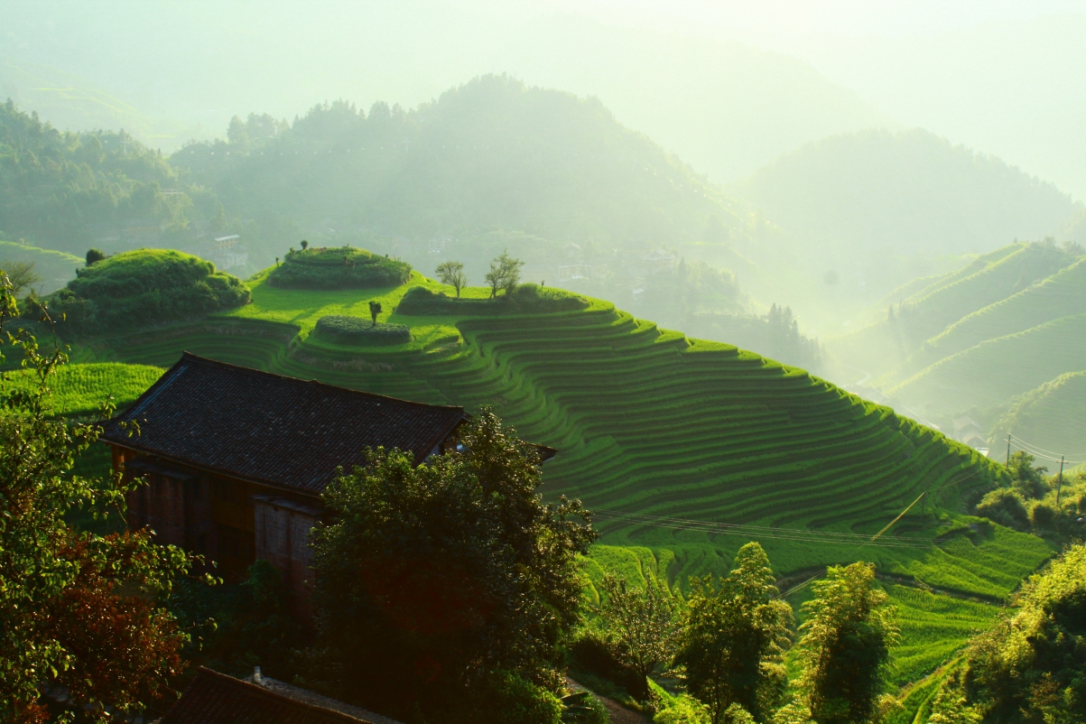 绝美梯田风光，高清5K图片，细腻4K壁纸，震撼5184x3456分辨率，一键下载！