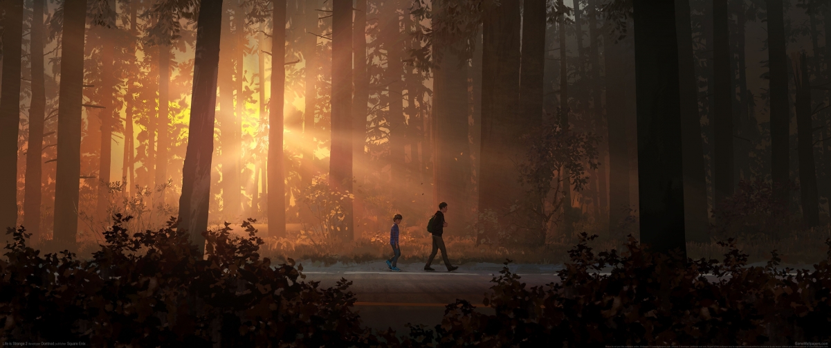 《Life is Strange 2》超高清4K壁纸，3440x1440带鱼屏专属，精美游戏图片下载