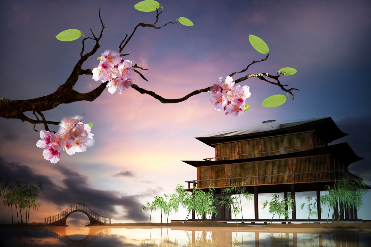 日本樱花盛景，绝美房子背景，8K/4K高清壁纸，8000x5333分辨率，免费下载