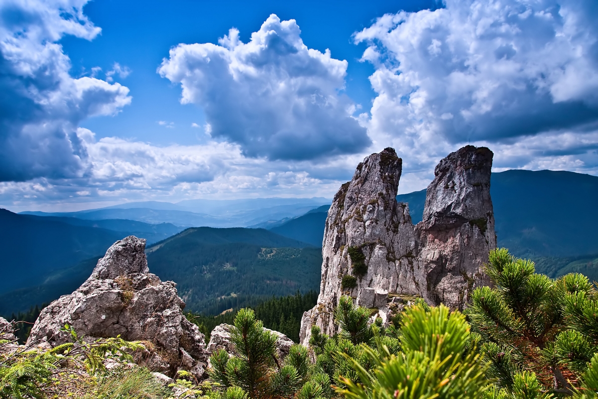 绝美山石林木风光，高清4K风景壁纸，细腻画质3888x2592，一键下载尽享自然之美
