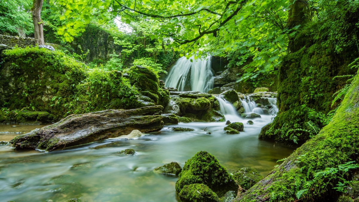 自然森林瀑布美景，绿色树林4K高清风景壁纸，3840x2160超清下载