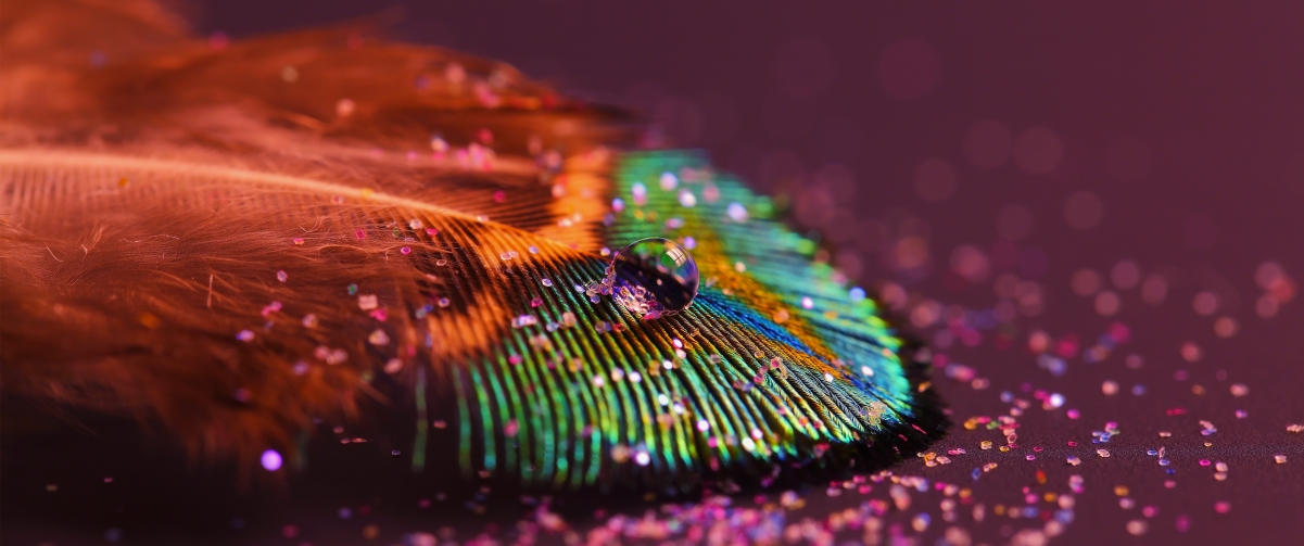 孔雀羽毛水滴高清4K壁纸，3440x1440分辨率背景图片，免费下载