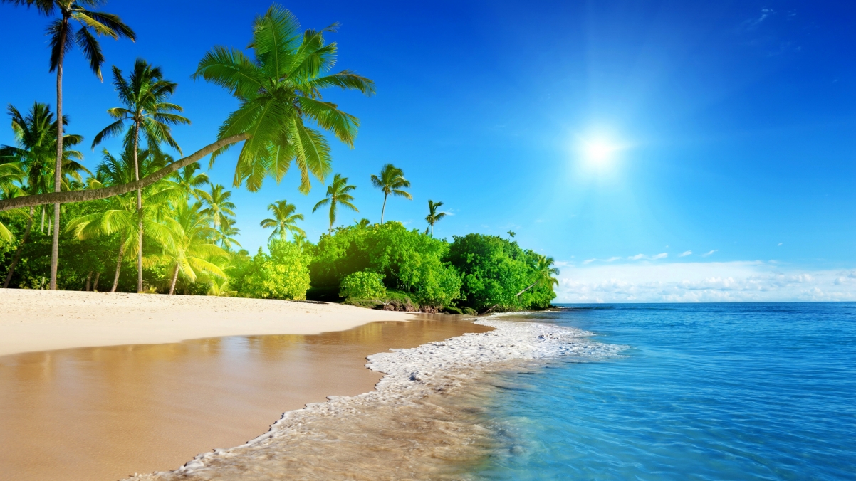 蔚蓝海景，椰树摇曳，绝美海滩4K高清壁纸（3840x2160）免费下载