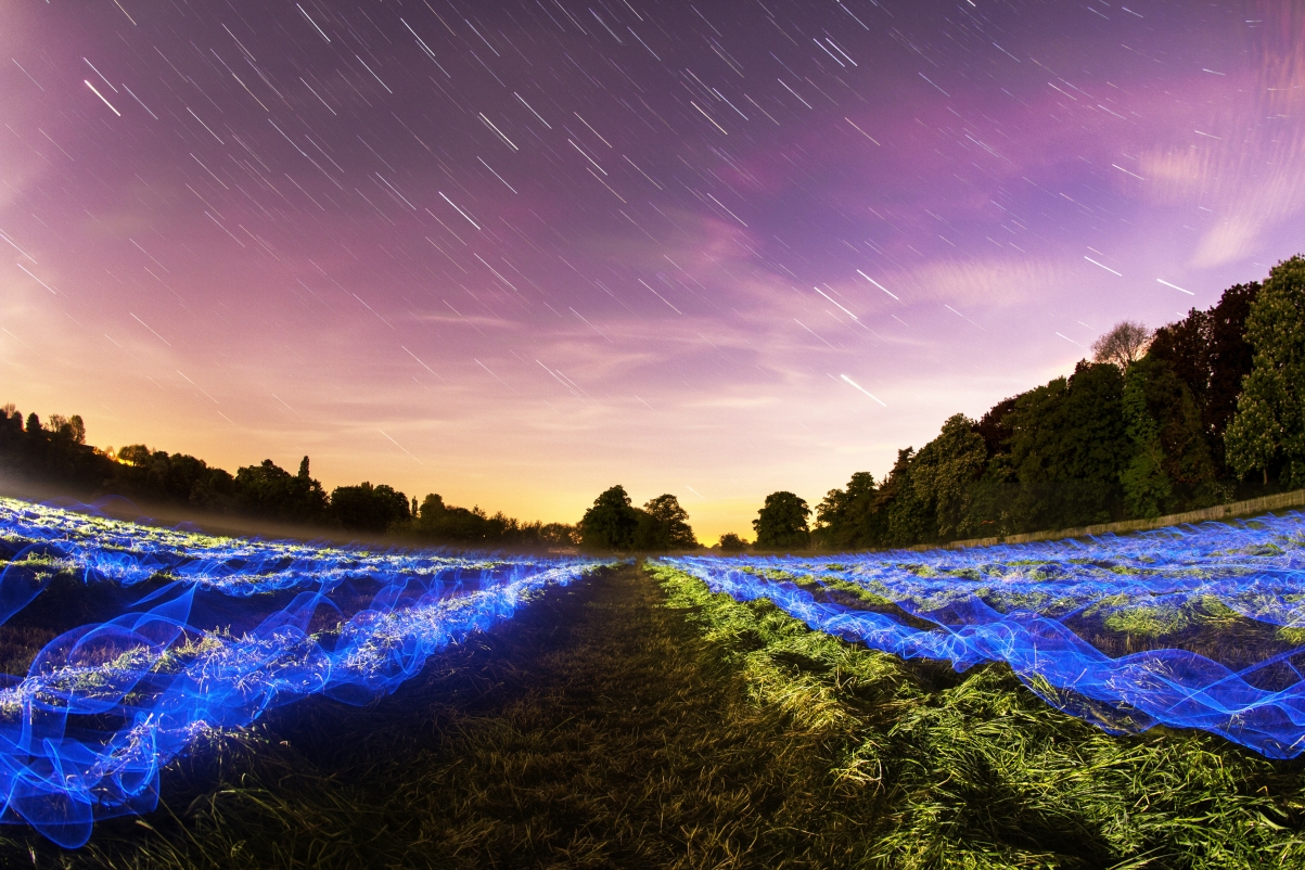 星夜原野绿意浓，艺术5K风景壁纸，高清4K背景图，5184x3456下载