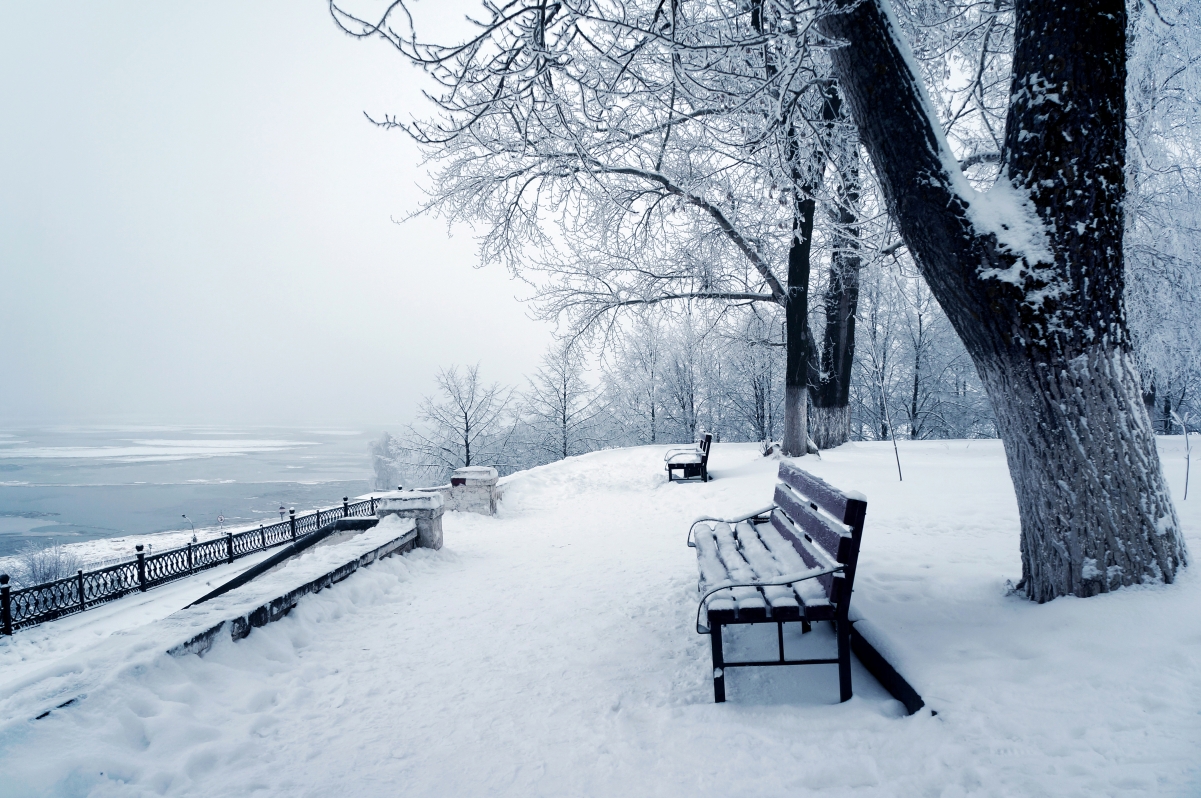 冬日雪景板凳静谧，树林美景4K高清壁纸，超清画质4200x2791，免费下载
