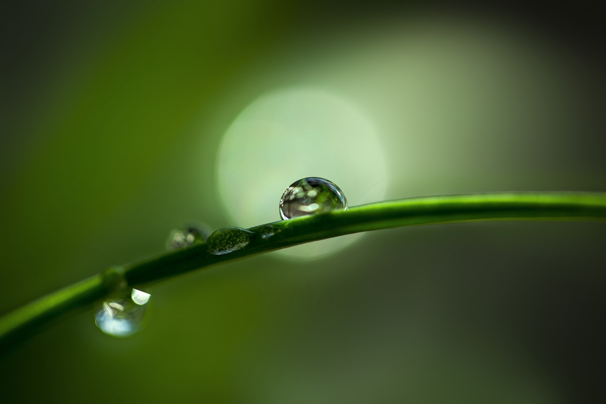 水滴晶莹，5K高清护眼壁纸，绝美4K风景图片，5472x3648分辨率下载