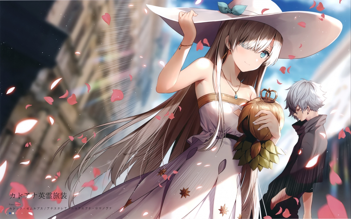 Fate Series英灵旅装，超清4K动漫壁纸，高清大图4000x2501，一键下载