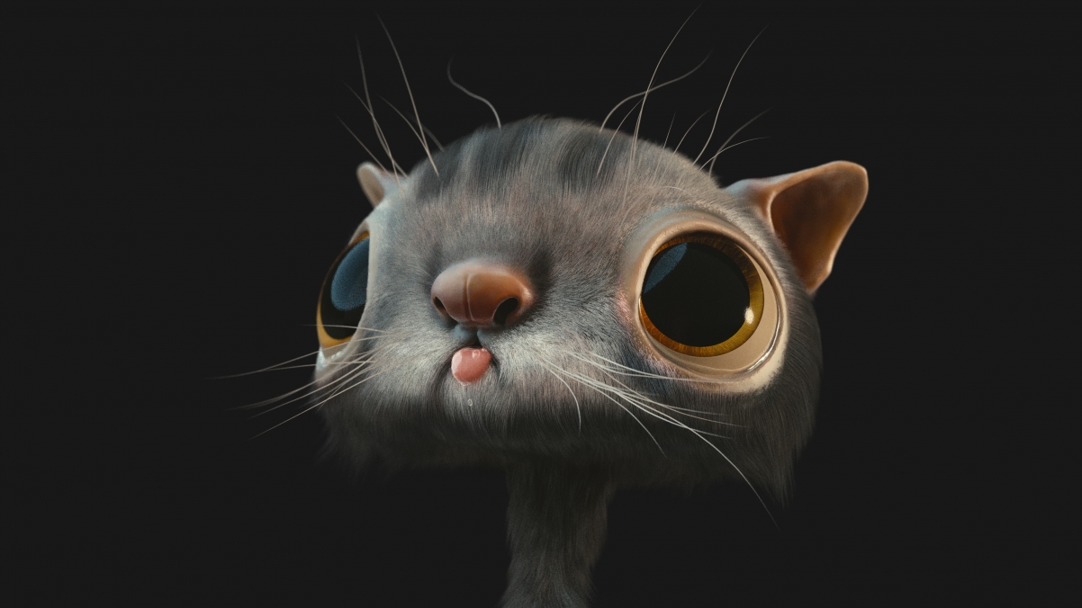 可爱猫咪4K高清壁纸，精美背景素材，3840x2160分辨率，免费下载