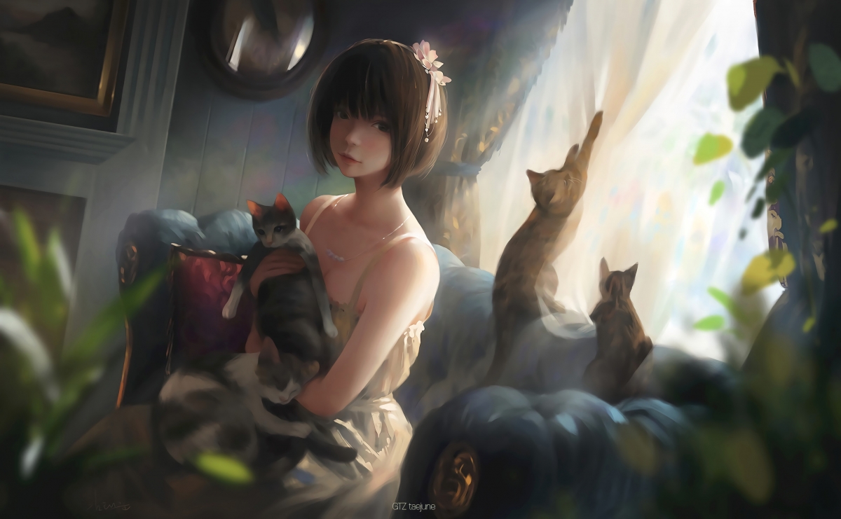 女孩短发配萌猫，唯美4K动漫壁纸，高清4000x2470，一键下载！