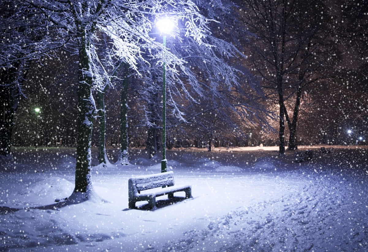 冬夜雪韵公园，高清5K树木灯光风景壁纸，4K超清图片，5268x3609下载
