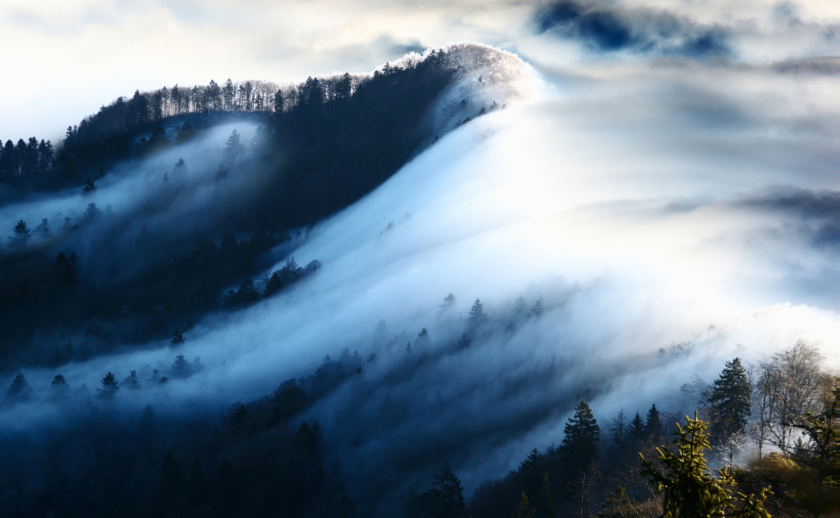 绝美山顶雾景，4K高清风景图片，精美壁纸4200x2590，免费下载
