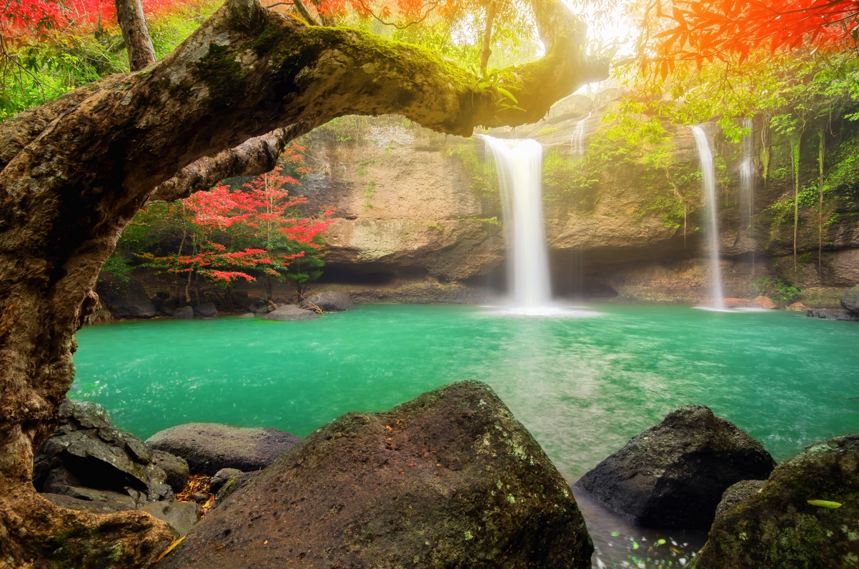 森林瀑布绝美4K高清壁纸，风景如画，超清4928x3264分辨率，免费下载