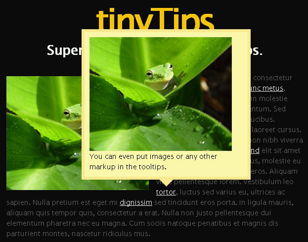 jquery.tinyTips提示框插件一句代码实现鼠标悬停文字提示信息框内容