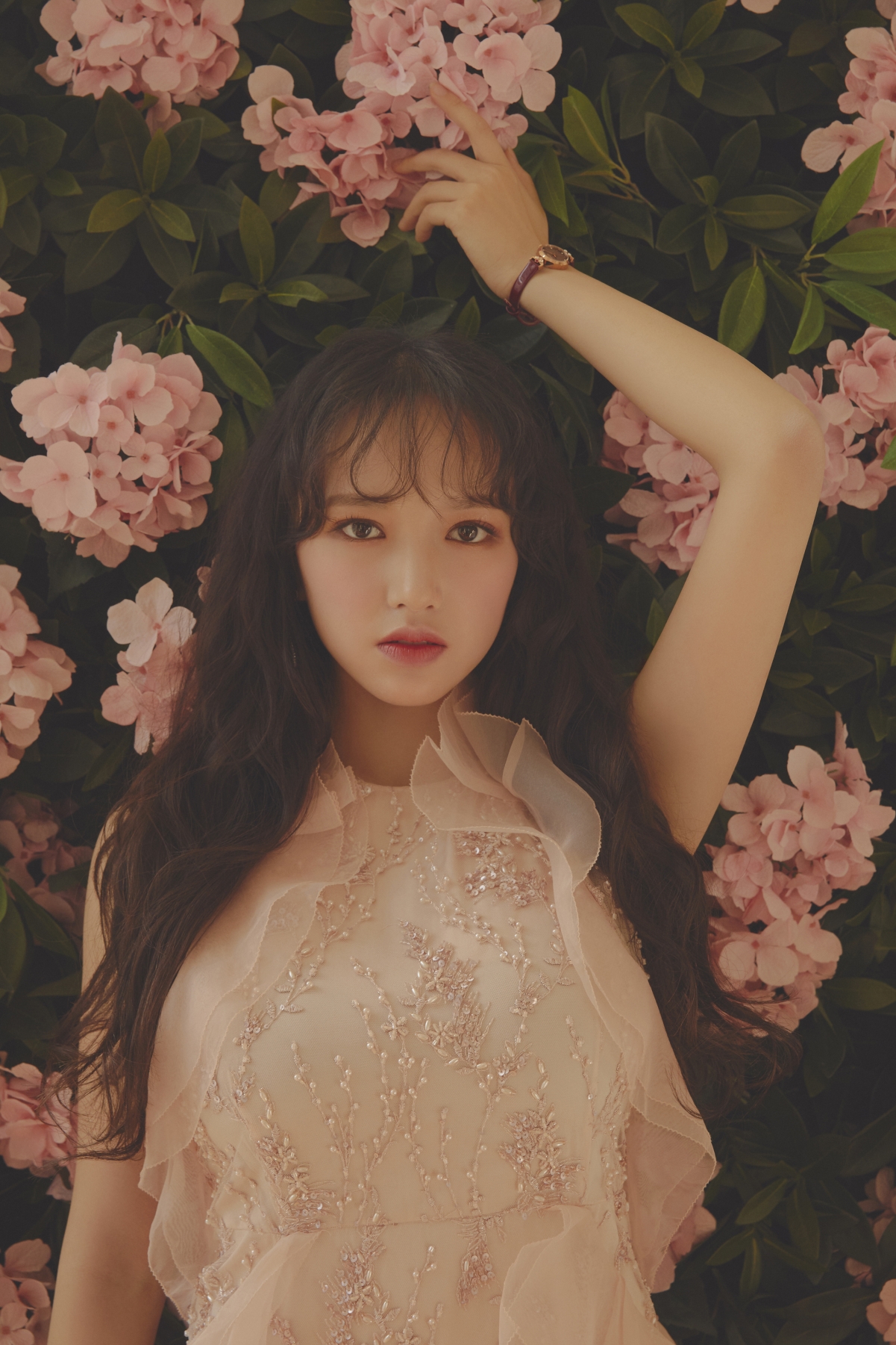 程潇唯美鲜花写真，高清4K竖屏手机壁纸，2560x3840分辨率，免费下载