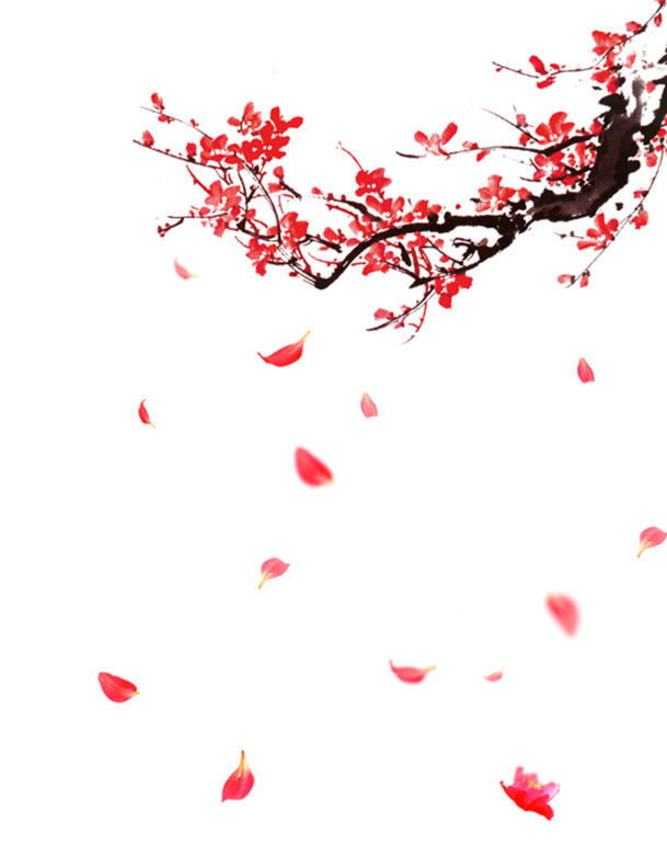 梅花PNG素材，高清透明图片，漂浮花瓣设计元素，免费下载