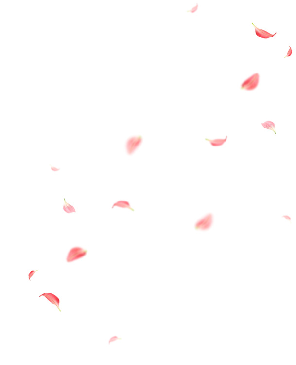 粉色花瓣飘落高清PNG透明图片，漂浮元素设计素材免费下载