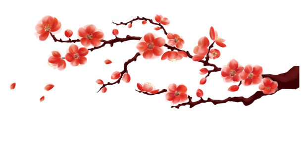 红色梅花PNG素材，高清透明图片，漂浮花瓣设计元素下载