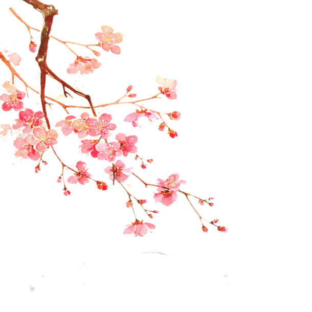 粉色梅花水墨画高清PNG透明图，装饰元素&笔触设计素材，免费下载
