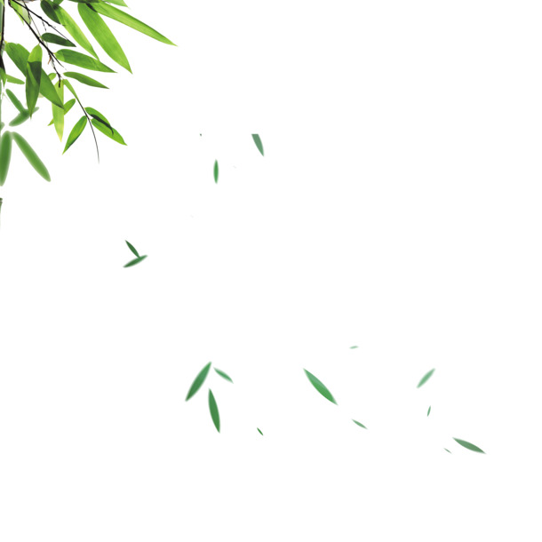 飘落的绿色竹叶PNG透明图片，高清装饰元素PSD设计素材下载